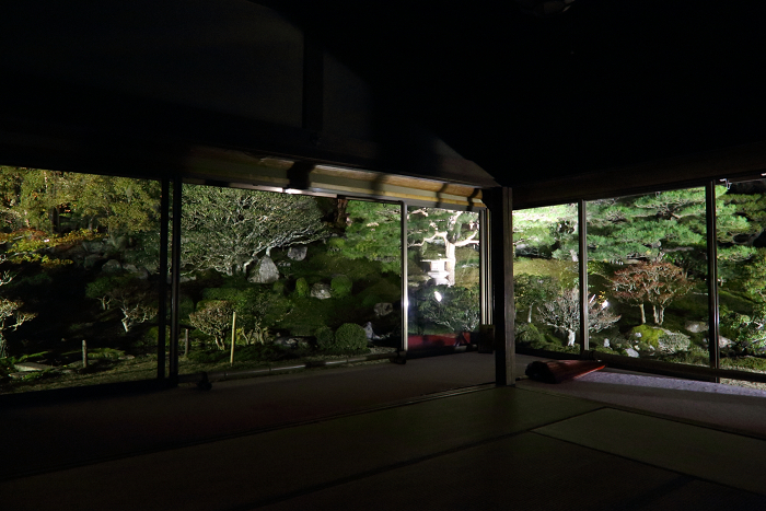 紅葉の比叡山 －坂本・旧竹林院ライトアップ－_b0169330_1634822.jpg