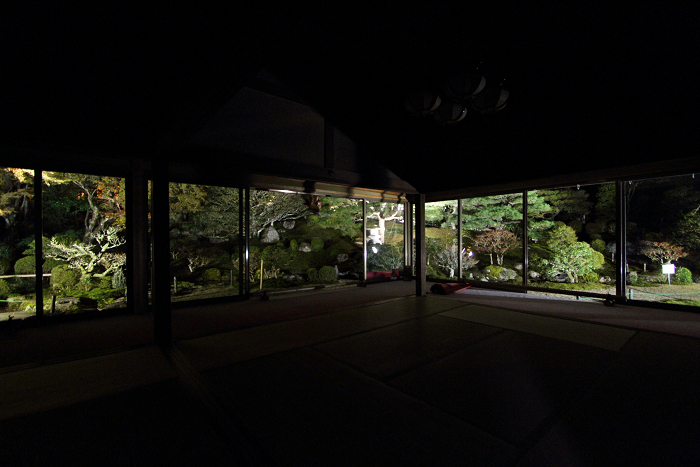 紅葉の比叡山 －坂本・旧竹林院ライトアップ－_b0169330_1640322.jpg