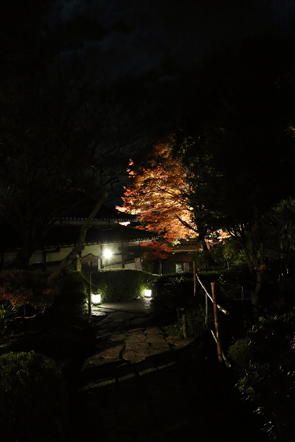 紅葉の比叡山 －坂本・旧竹林院ライトアップ－_b0169330_16405966.jpg