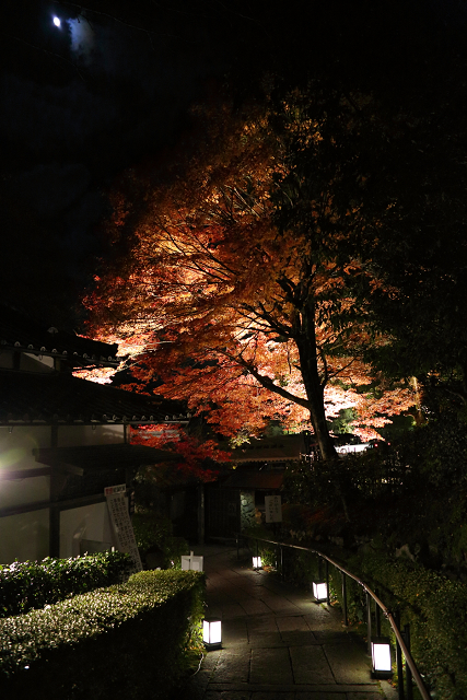 紅葉の比叡山 －坂本・旧竹林院ライトアップ－_b0169330_16414341.jpg