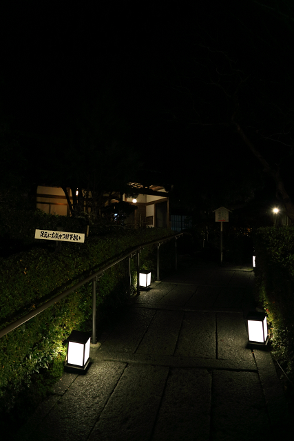 紅葉の比叡山 －坂本・旧竹林院ライトアップ－_b0169330_16415277.jpg