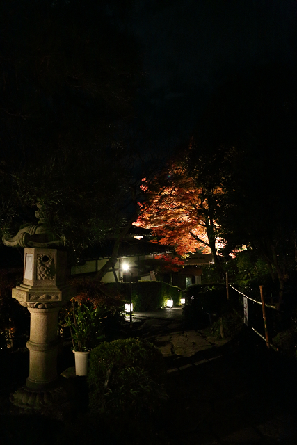 紅葉の比叡山 －坂本・旧竹林院ライトアップ－_b0169330_1641695.jpg