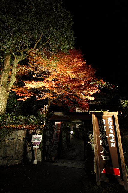 紅葉の比叡山 －坂本・旧竹林院ライトアップ－_b0169330_16421280.jpg
