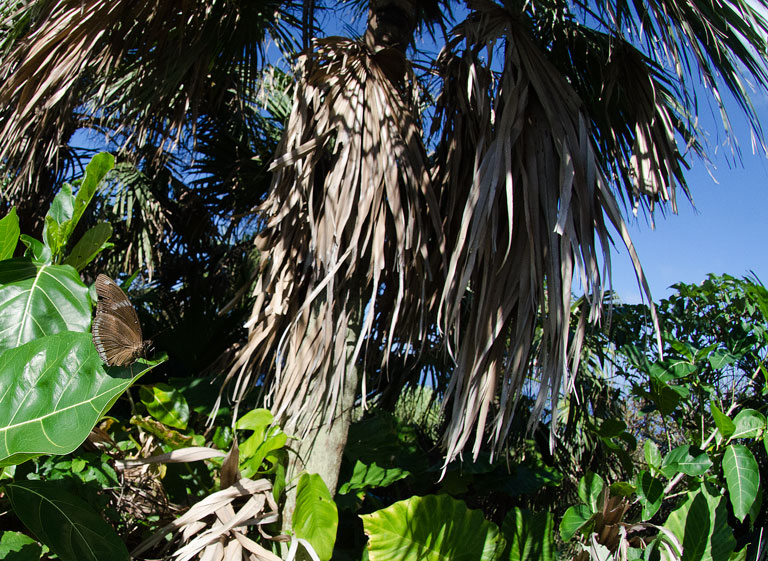 a0126632_1732940.jpg