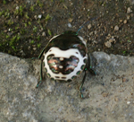 f0108133_1514515.jpg