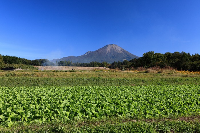 a0294534_1548768.jpg
