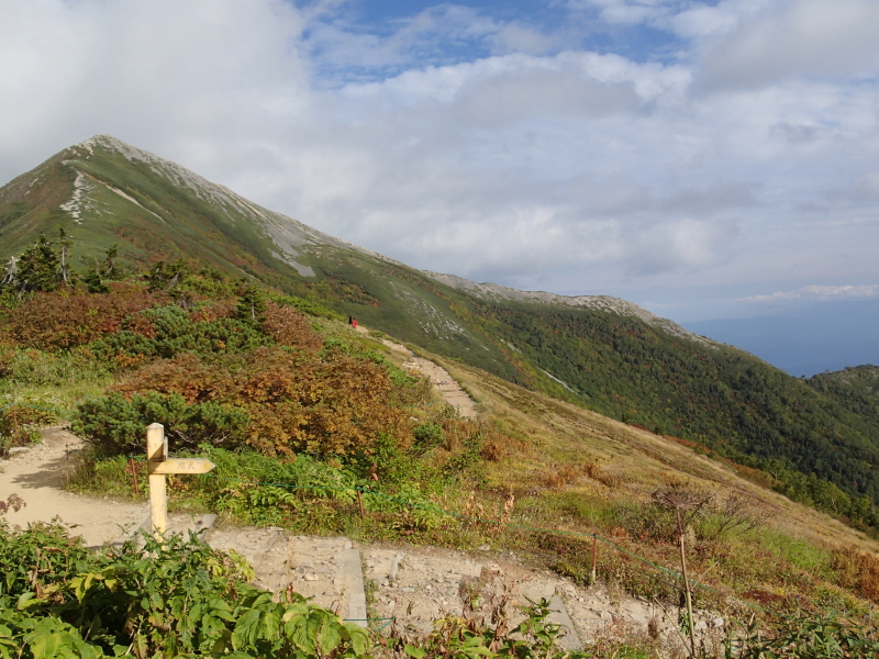 b0190242_21171738.jpg