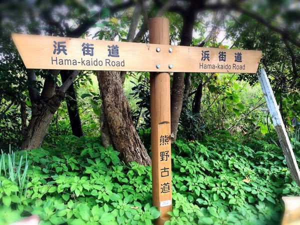 熊野古道@浜街道北コース_e0292546_723235.jpg