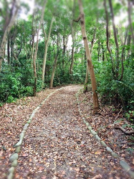 熊野古道@浜街道北コース_e0292546_7233066.jpg