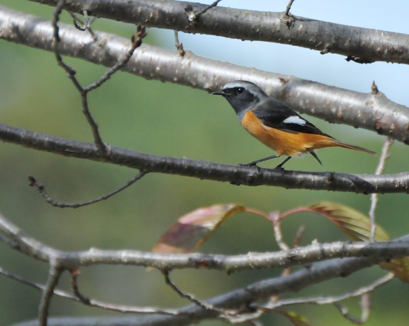 c0334250_20394125.jpg