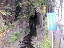 c0001653_22552444.jpg