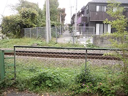 c0001653_22554267.jpg