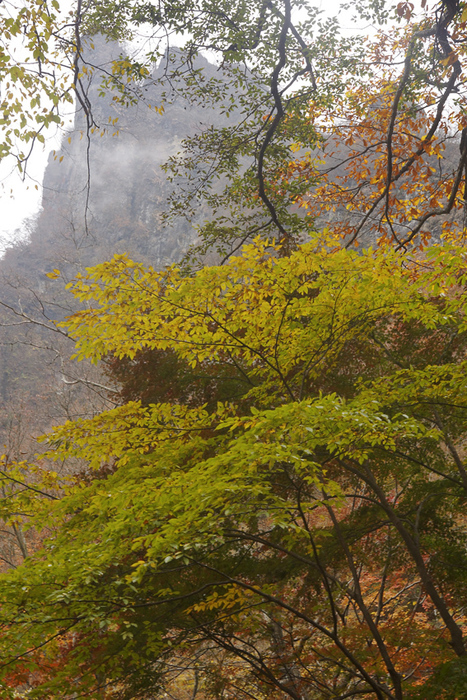 秋を求めて撮影山行　in　表妙義(相馬岳)_f0016656_2141598.jpg