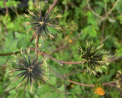 e0035757_21011904.jpg