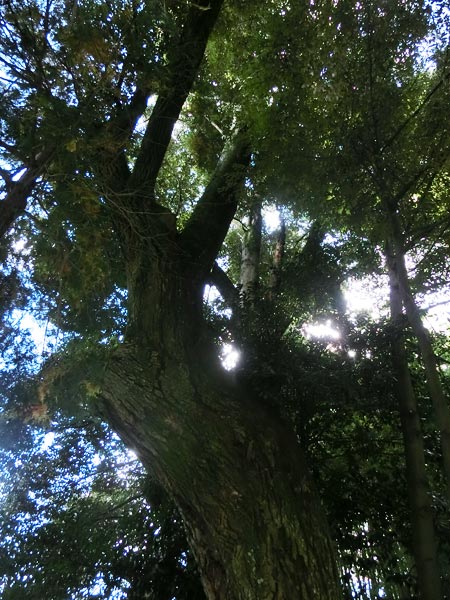 e0035757_21080370.jpg
