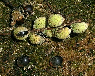 e0035757_21082202.jpg