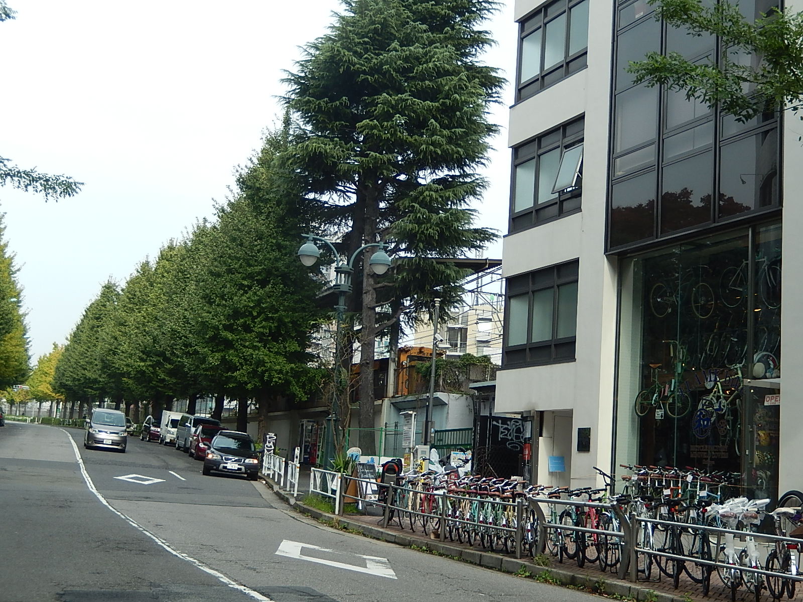 11月9日　渋谷　原宿　の自転車屋　FLAME bike前です_e0188759_12564258.jpg