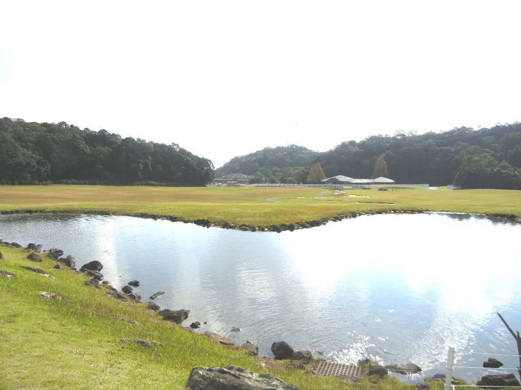 ’14,11,9(日)今日はいい句の日!_f0060461_1921026.jpg