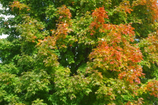 c0242063_2273281.jpg