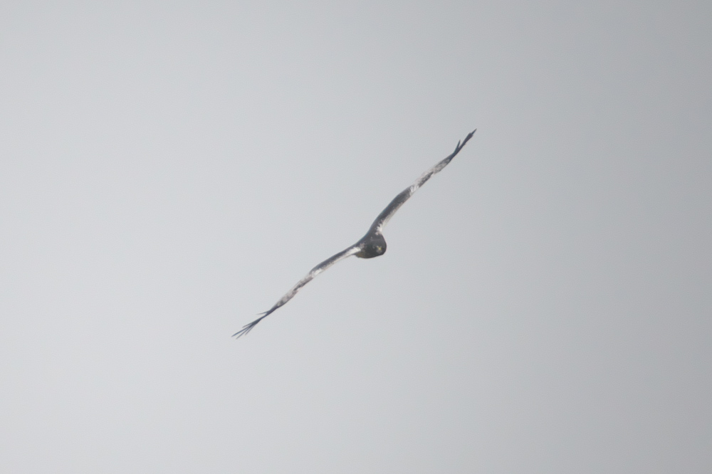 b0092366_2375227.jpg