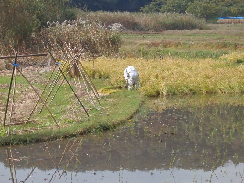 町田　里山散策　１/３_d0031171_2021947.jpg