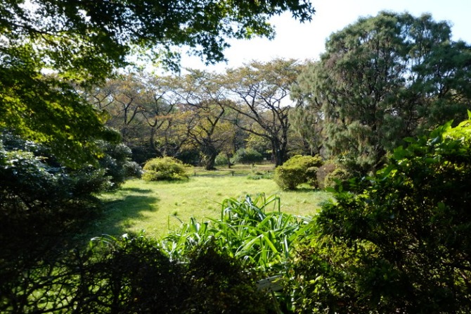 小石川植物園　　fujinon xc/x-e1　_a0085679_19314032.jpg