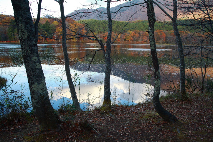 下郷町　観音沼森林公園の紅葉　その３_e0165983_1965793.jpg