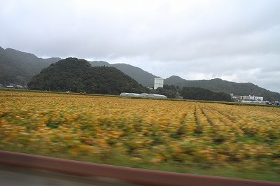 秋月　三連水車　 陣中見舞いに_d0156186_07910.jpg