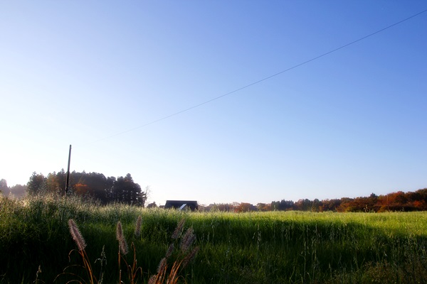 e0177190_037358.jpg