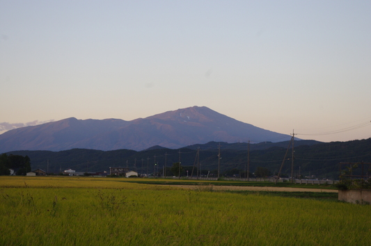 c0068891_9244929.jpg