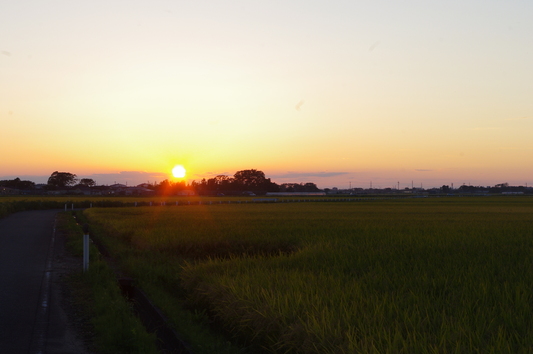 c0068891_9261914.jpg