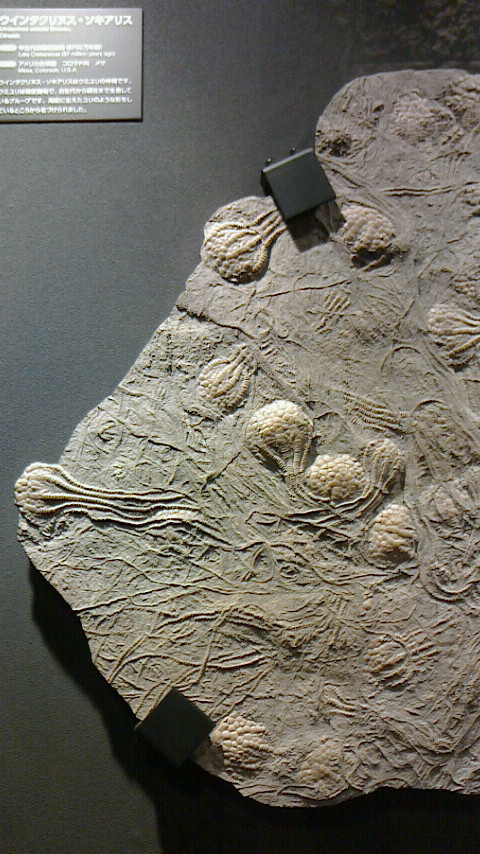 e0148691_0242912.jpg