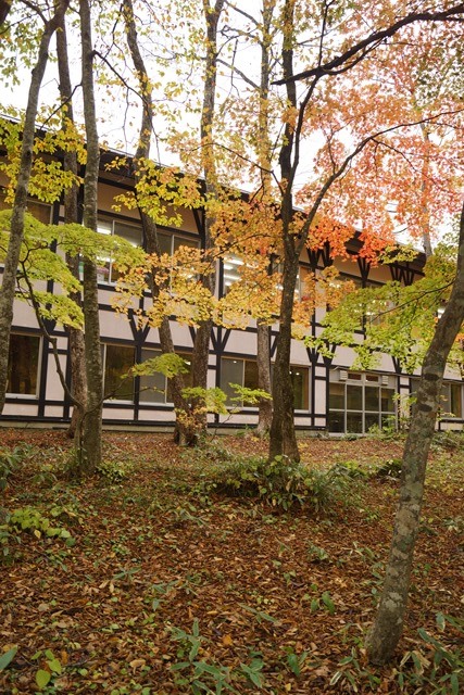 d0181492_17205427.jpg