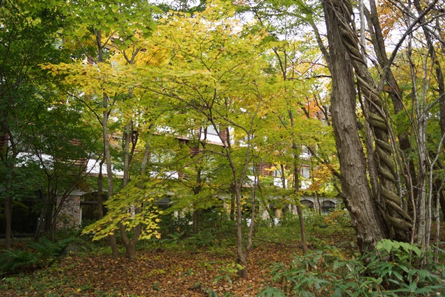 d0181492_17251978.jpg