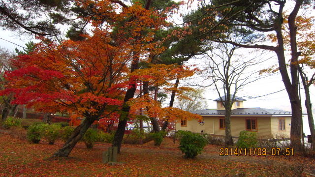 c0133096_12445101.jpg