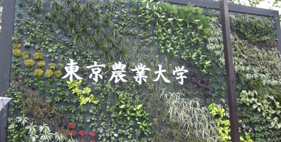 d0165298_1542689.jpg