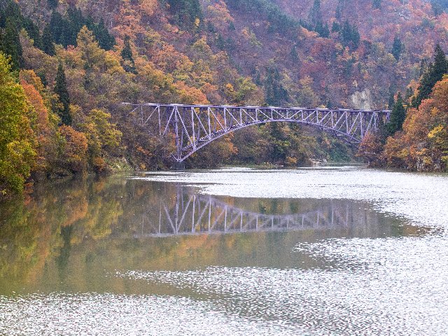 c0008502_53175.jpg