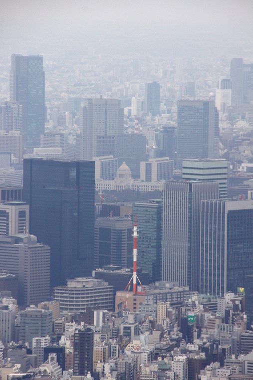 d0248502_15532816.jpg
