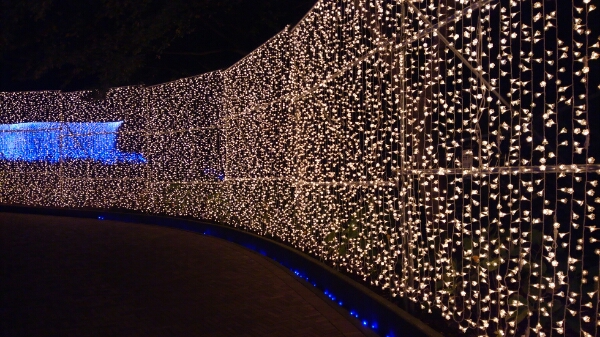 d0306603_23385880.jpg