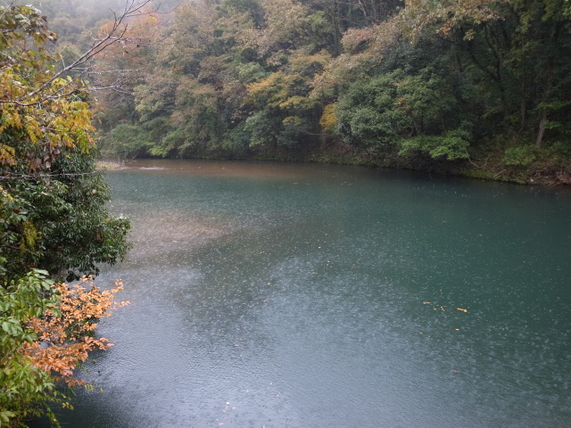 f0197703_13143041.jpg