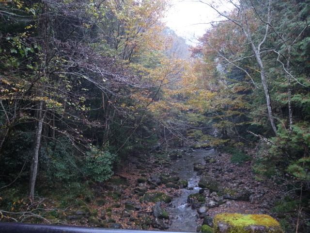 f0197703_13175344.jpg