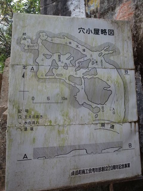 f0197703_1324793.jpg