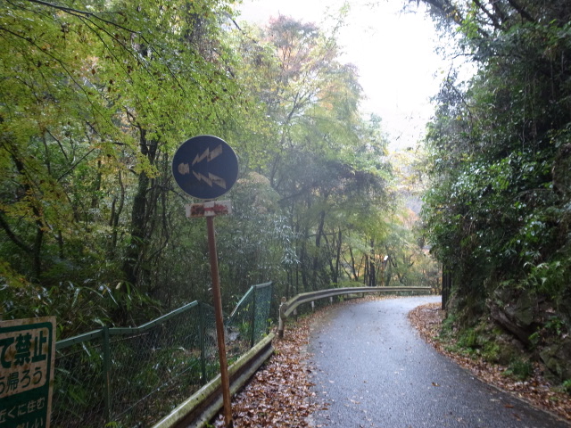 f0197703_1333040.jpg