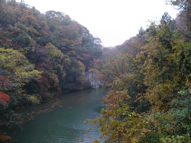 f0197703_1428023.jpg