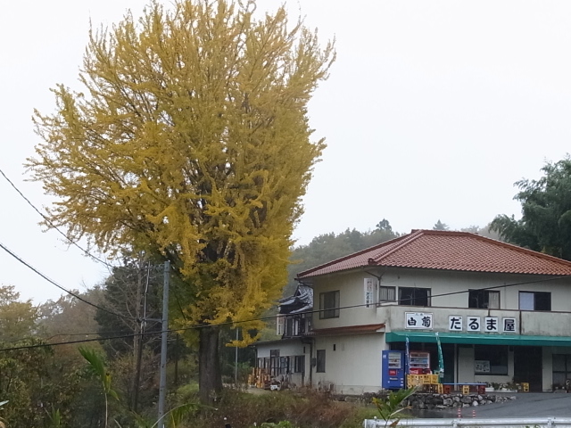 f0197703_14311881.jpg