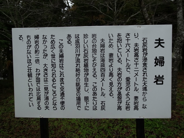 f0197703_14313986.jpg