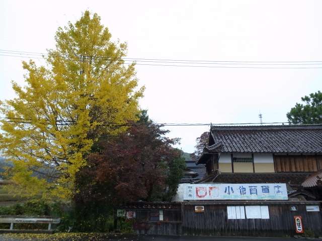 f0197703_1826122.jpg