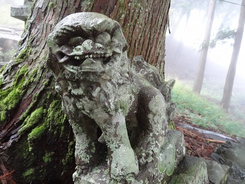 徳島　天岩戸神社 不思議な体験 オーブ_b0124306_14191733.jpg