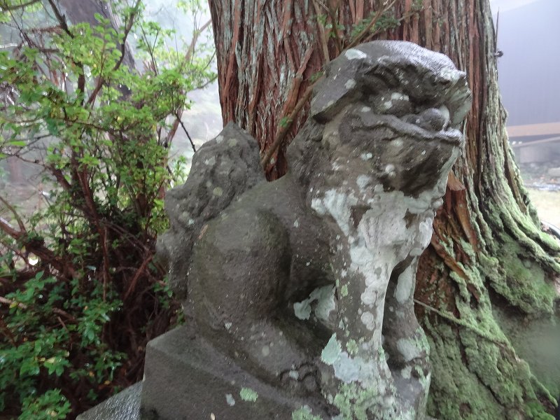 徳島　天岩戸神社 不思議な体験 オーブ_b0124306_14192920.jpg