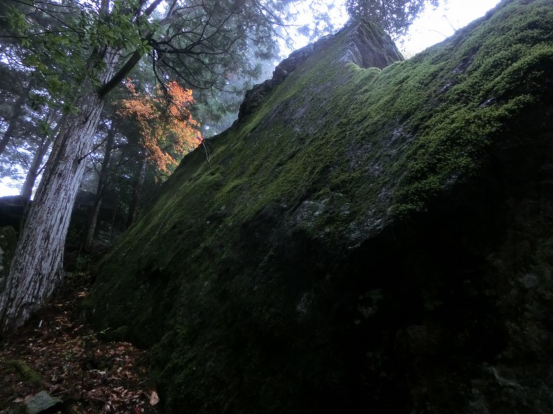 徳島　天岩戸神社 不思議な体験 オーブ_b0124306_15453495.jpg